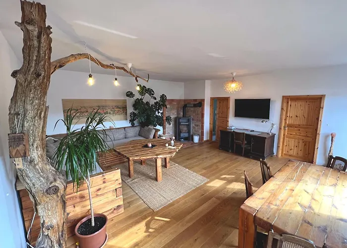 Altstadt Apartments